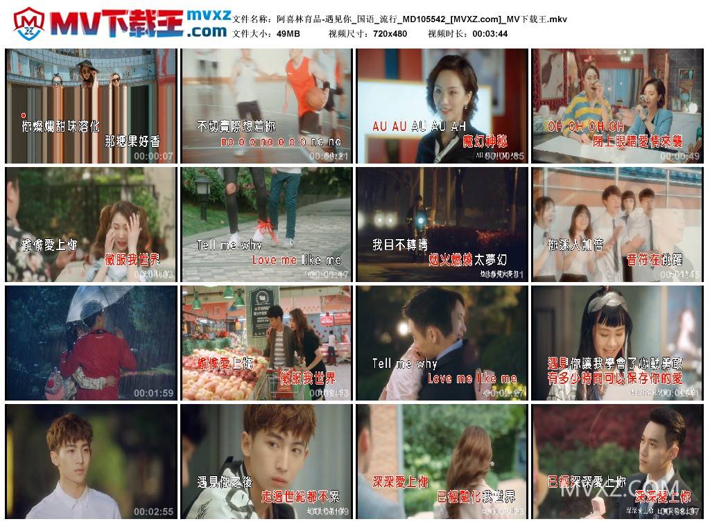 阿喜林育品-遇见你_国语_流行_MD105542